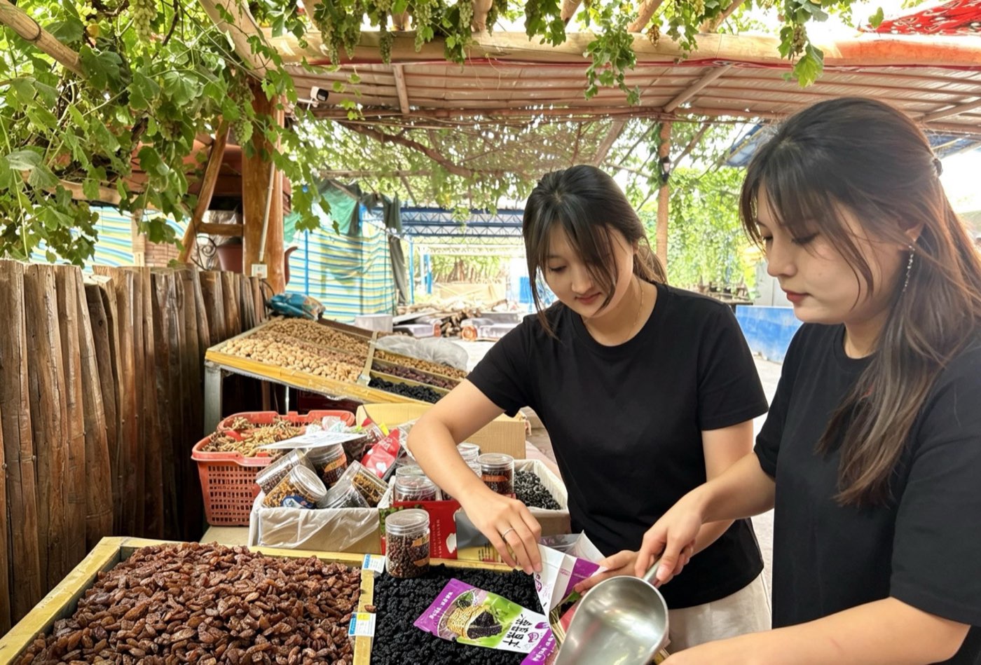田间活动
